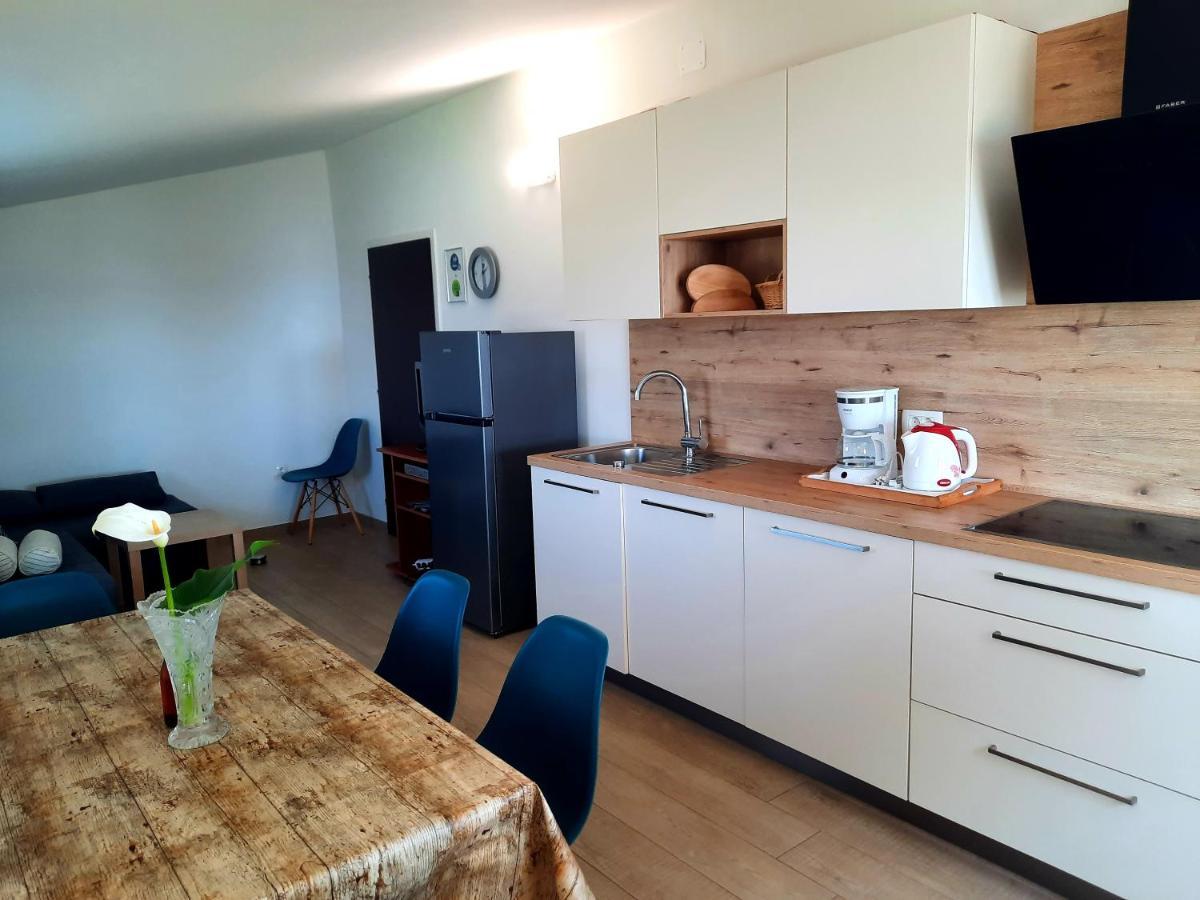 Holiday Erna - Apartments Cherry & Blue Novigrad  Exterior photo