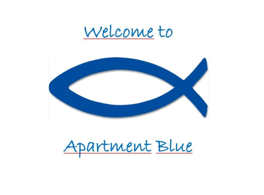 Holiday Erna - Apartments Cherry & Blue Novigrad  Exterior photo